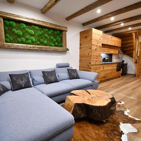 Chalet Apartments Mastal Železná Ruda エクステリア 写真