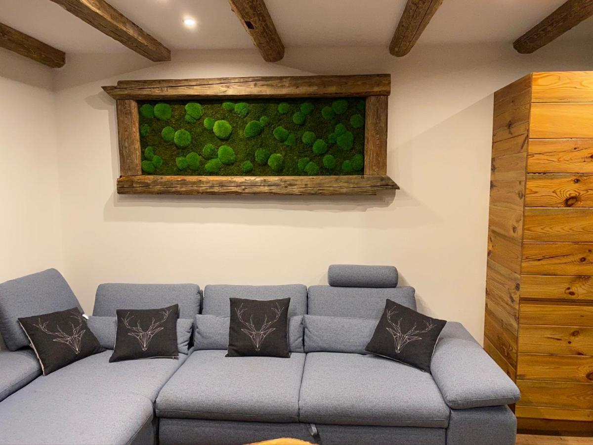Chalet Apartments Mastal Železná Ruda エクステリア 写真