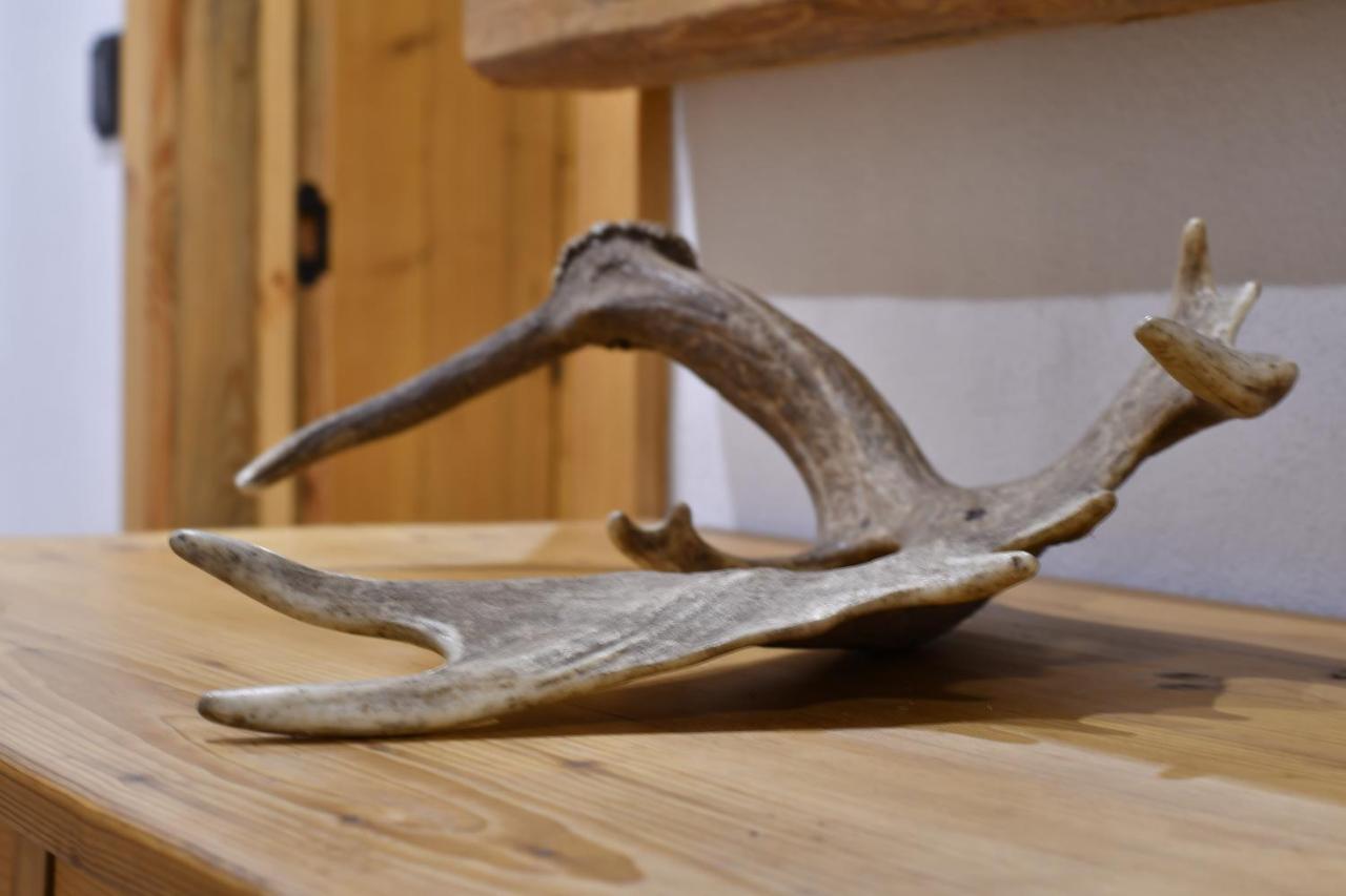 Chalet Apartments Mastal Železná Ruda エクステリア 写真